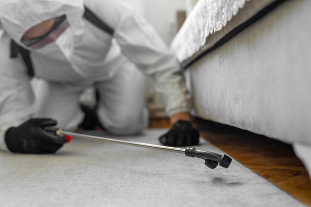 Professional Pest Control technician working in Emmaus, PA