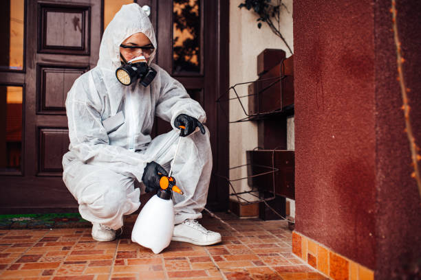 Reliable Rodent Control contractor in Emmaus, PA by Nex Pest Control